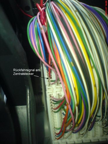 zentralstecker.jpg zentralstecker.jpg